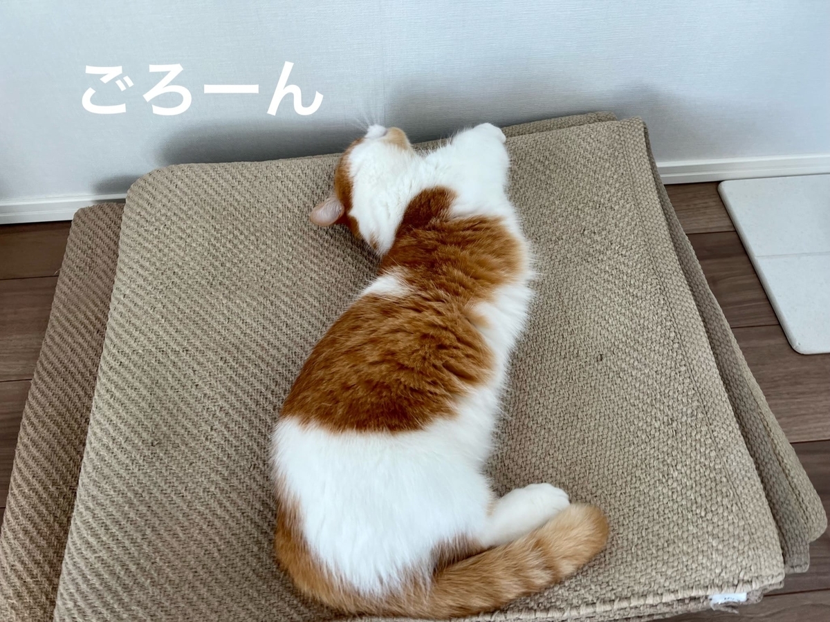 カーペットの上でのびるるるちゃん