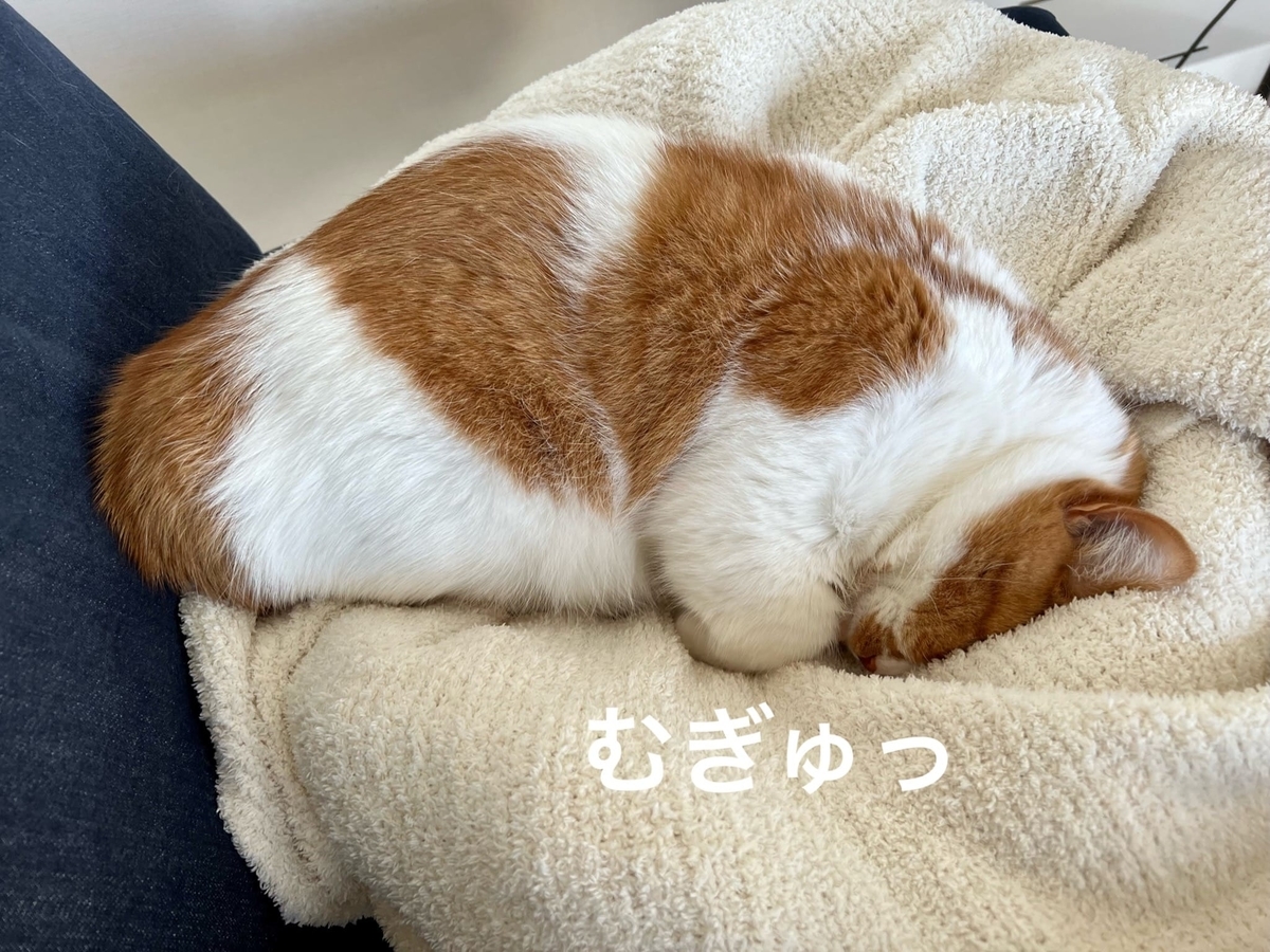 うつぶせ寝のるるちゃん1