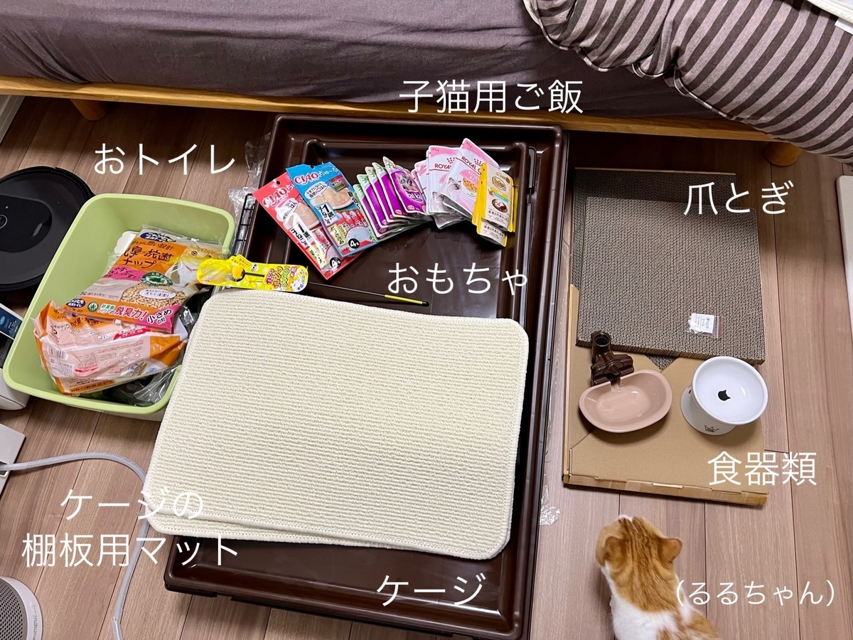 もなちゃん迎え入れ準備グッズ