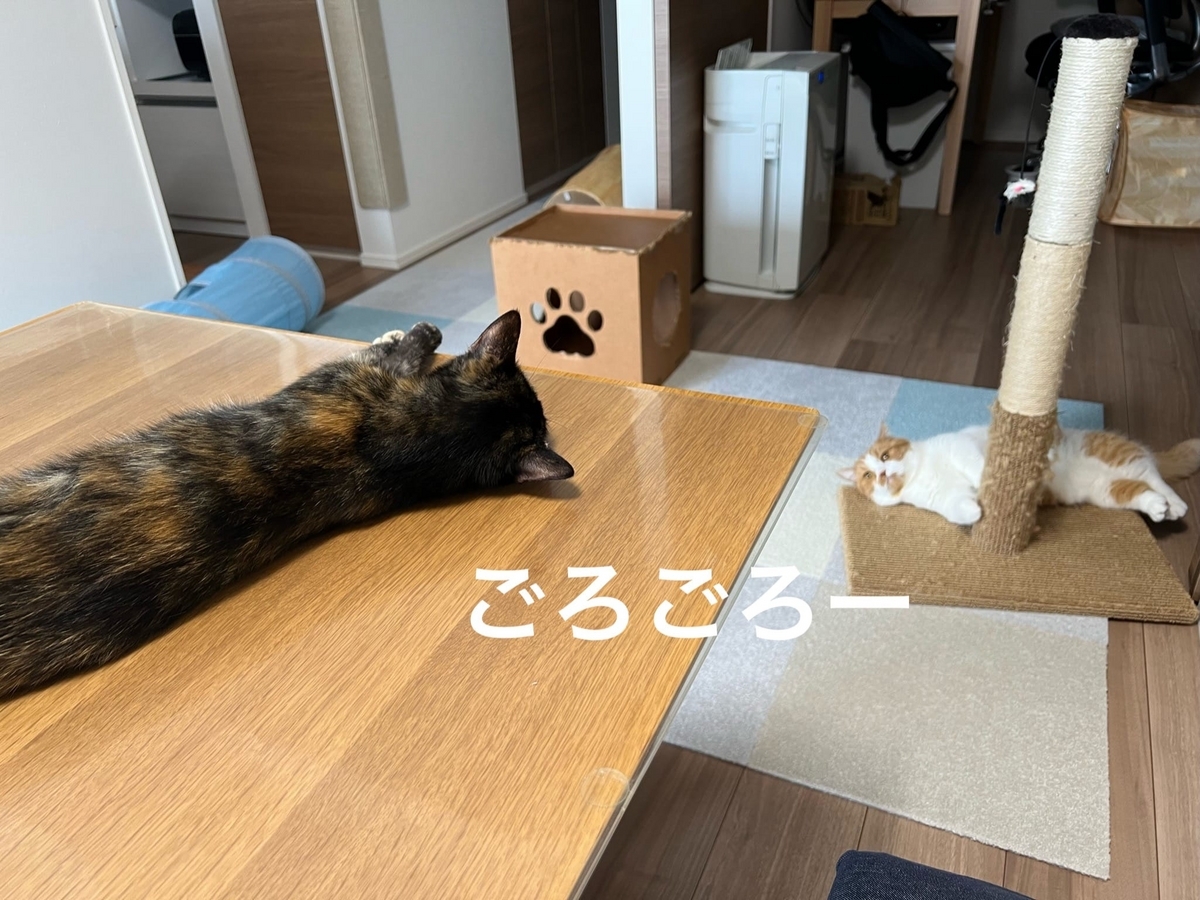 転がるるるもな