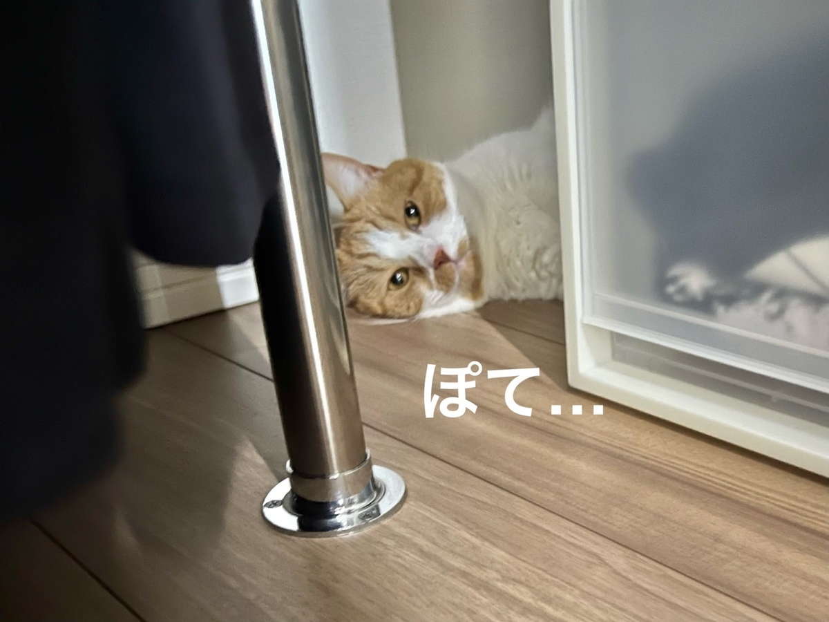 ぽてっとしてるるるちゃん