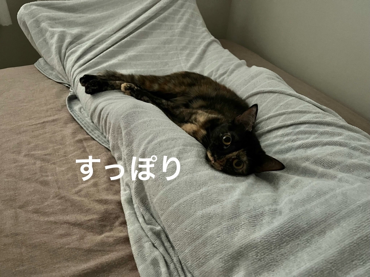 足に挟まるもなちゃん