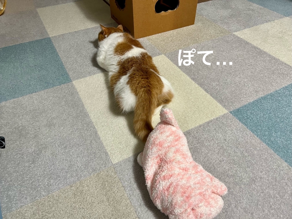 床に転がるるるちゃん