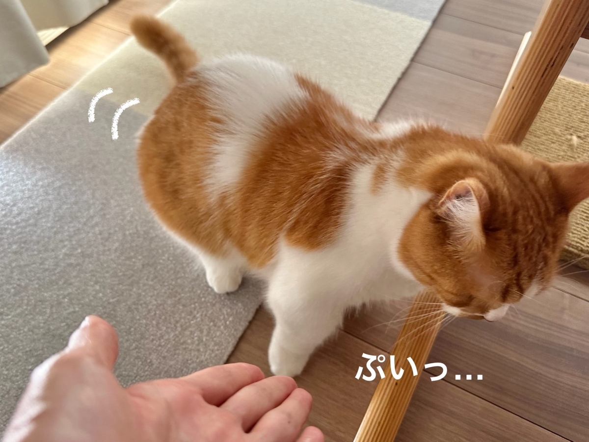 避けるるるちゃん