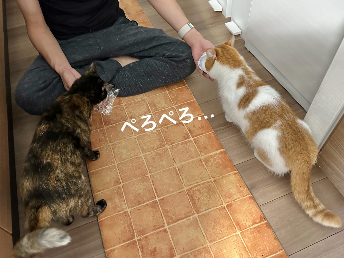 ヨーグルトタイムのるるもな