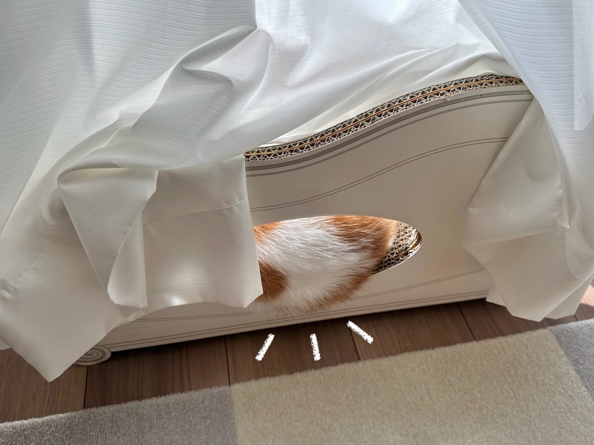 カリカリーナからはみだしてるるるちゃん1
