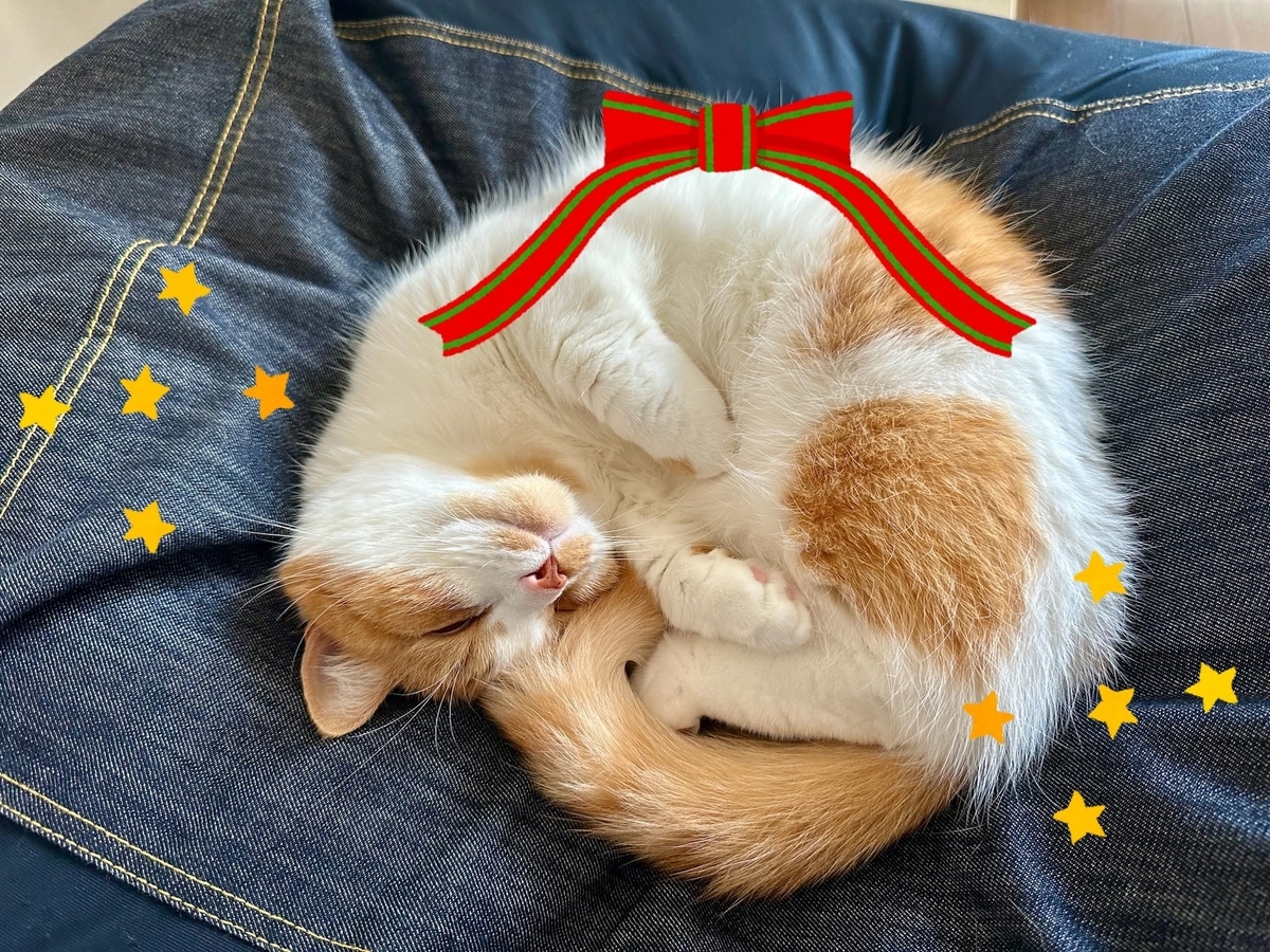 クリスマスリースのるるちゃん