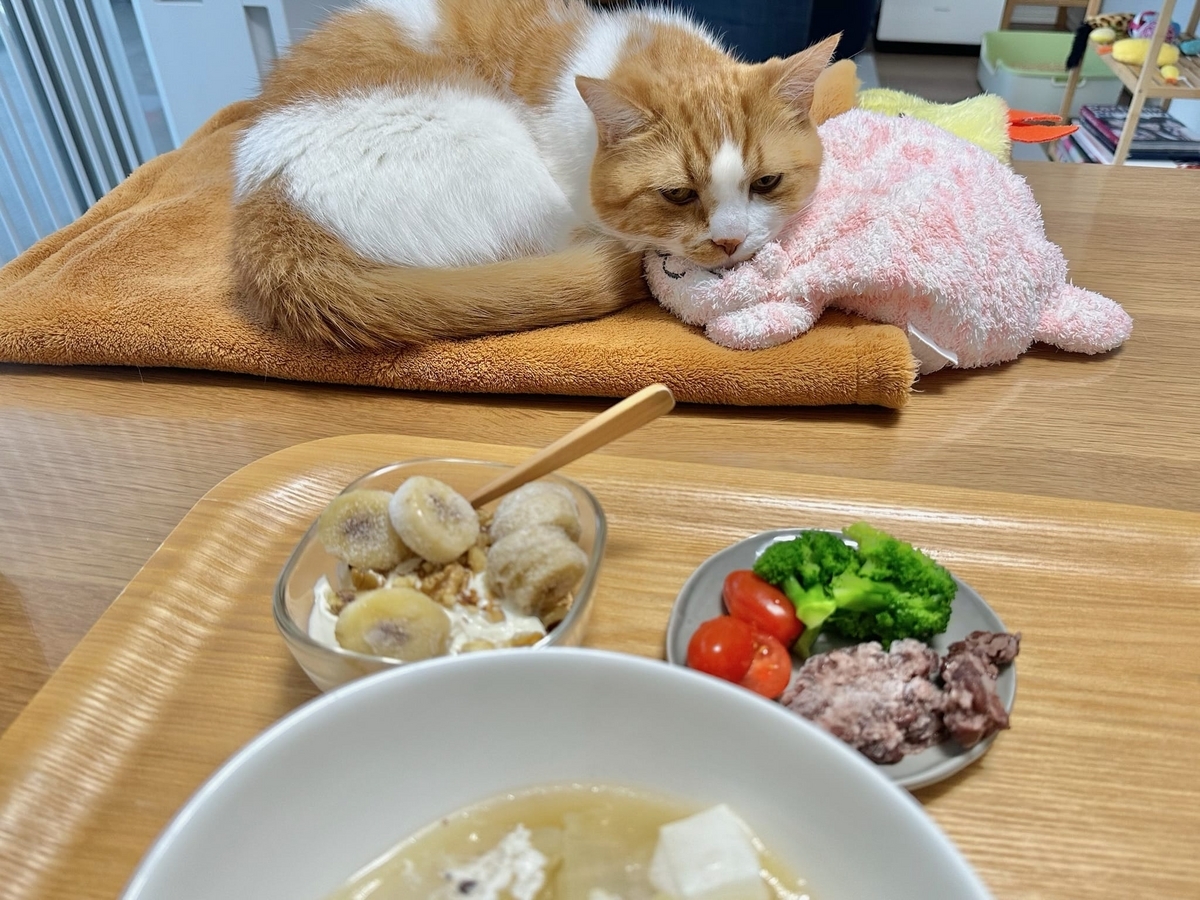 朝食とるるちゃん