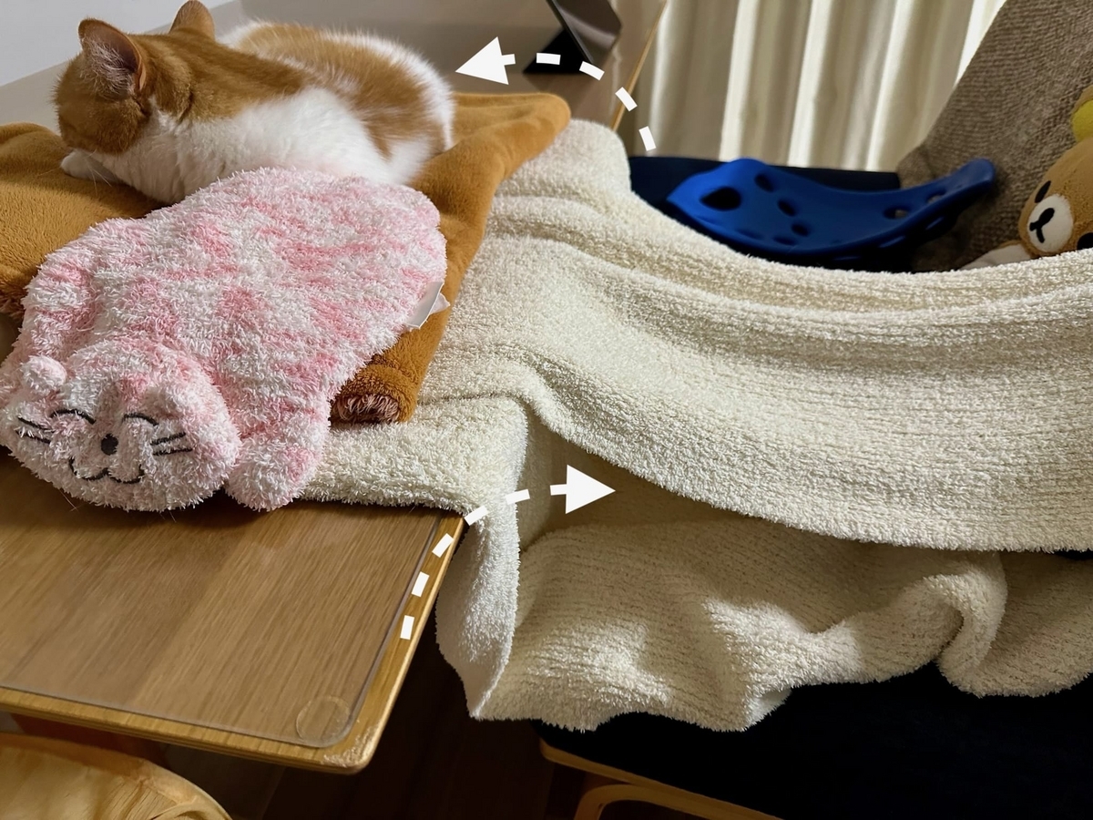 お昼寝タイムのるるもな