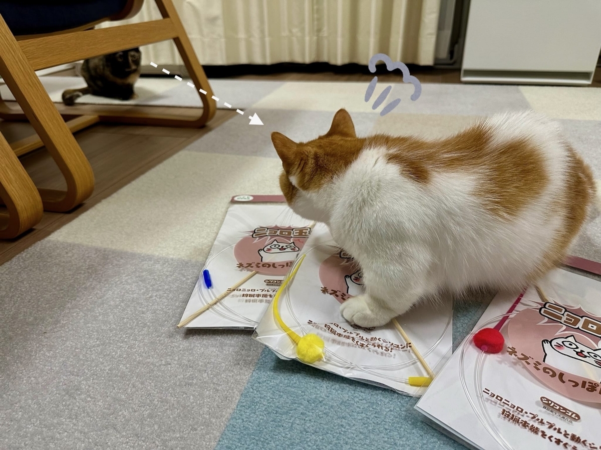 おもちゃの奪い合い