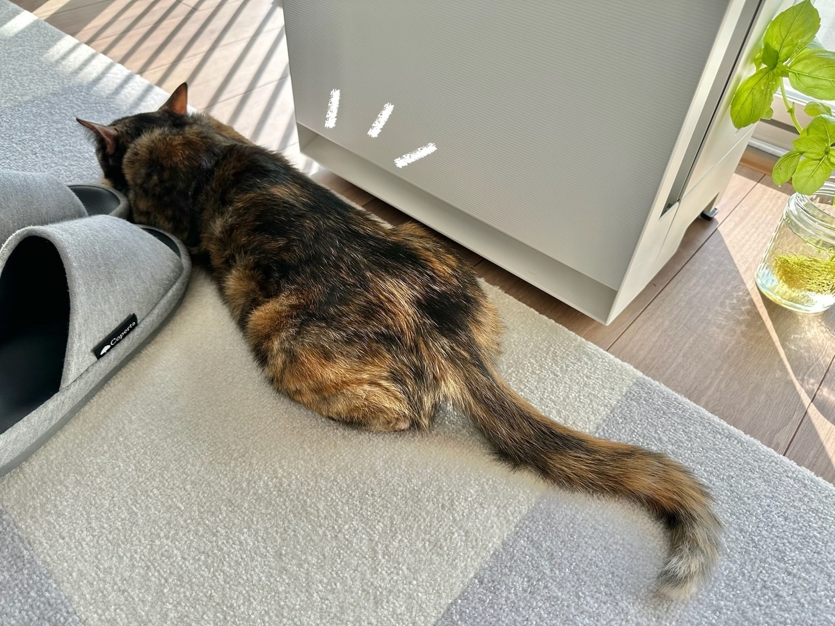 つちのこもなちゃん2