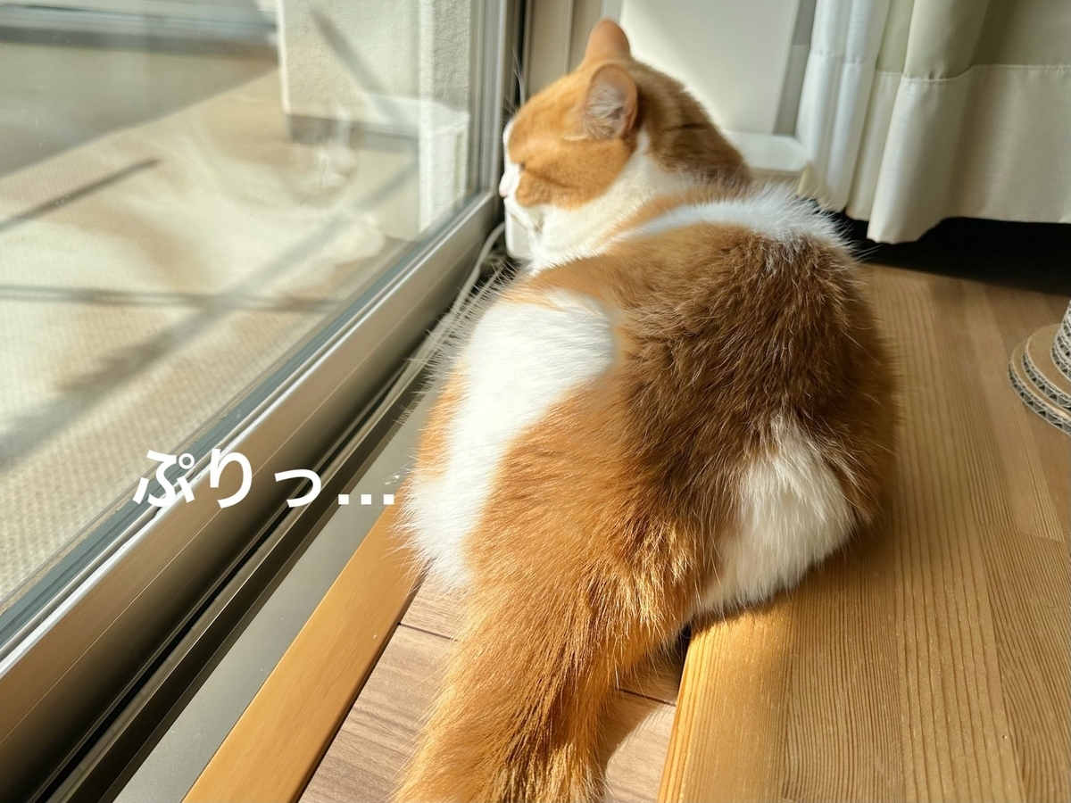 窓辺のるるちゃん2