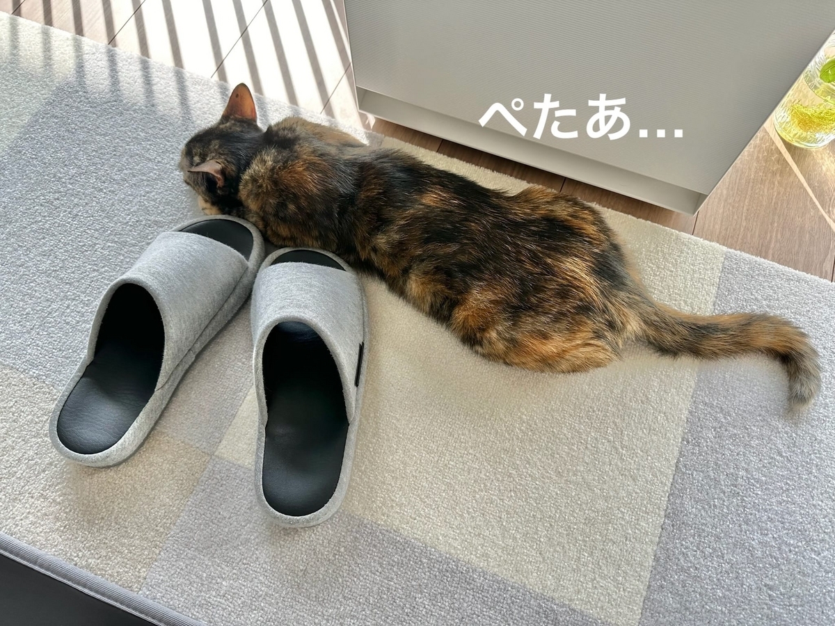 つちのこもなちゃん1