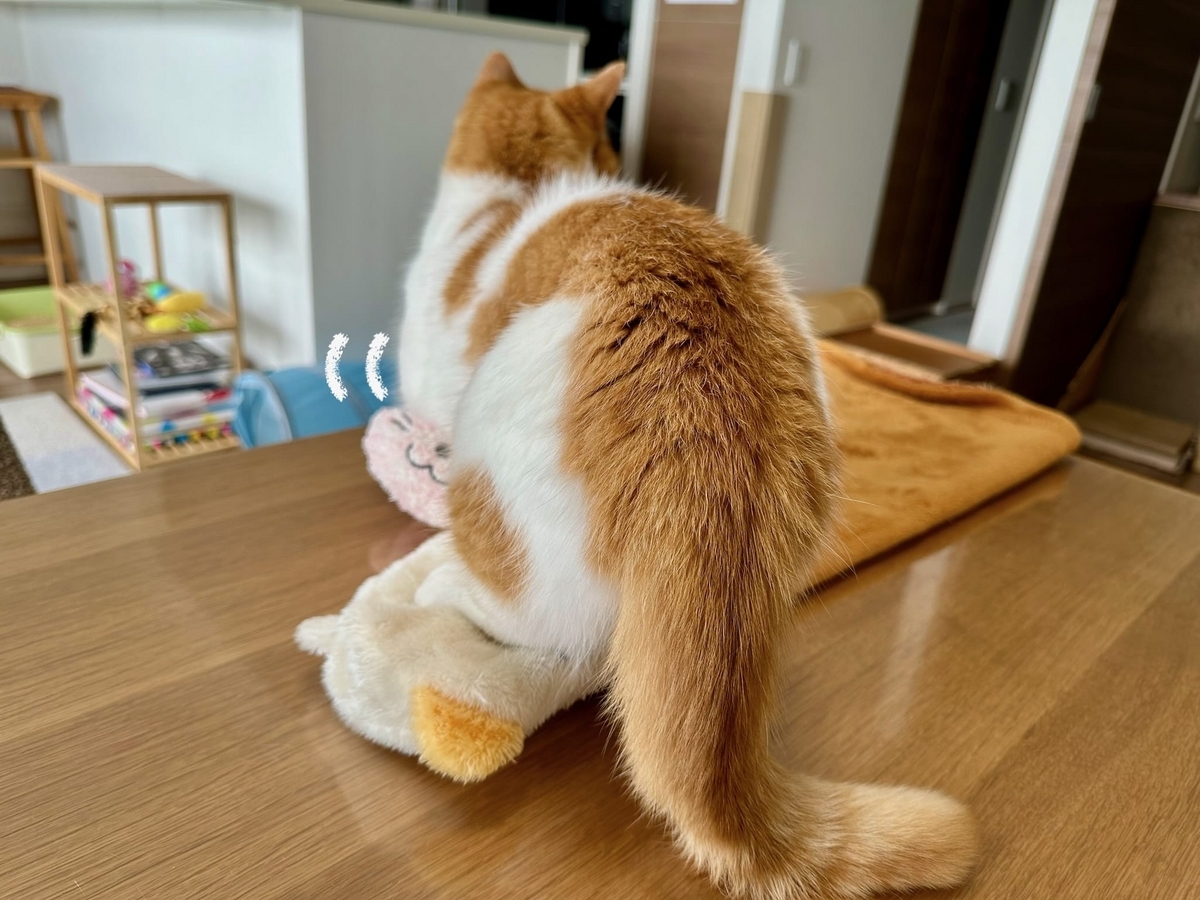 ふみふみ中のるるちゃん1