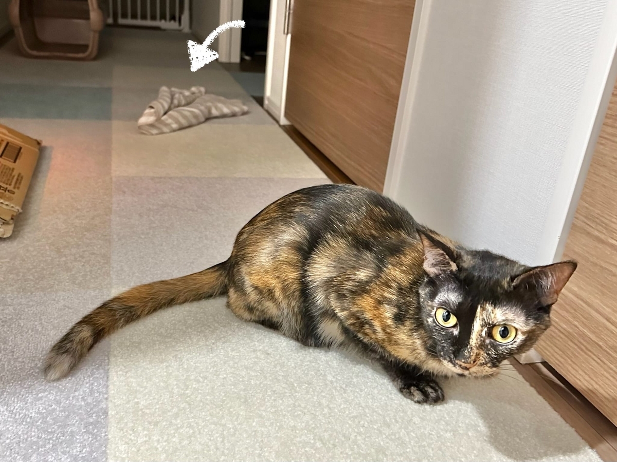 枕カバーともなちゃん