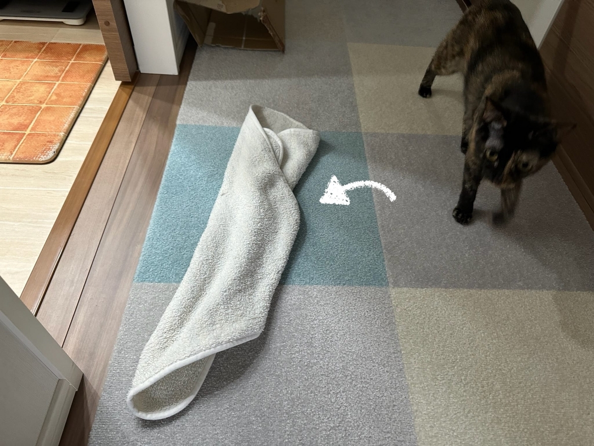 ブランケットともなちゃん