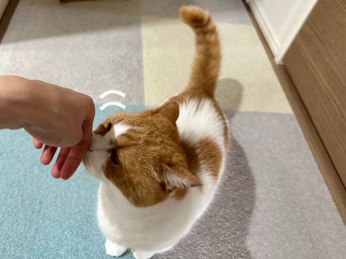 すりすりするるるちゃん