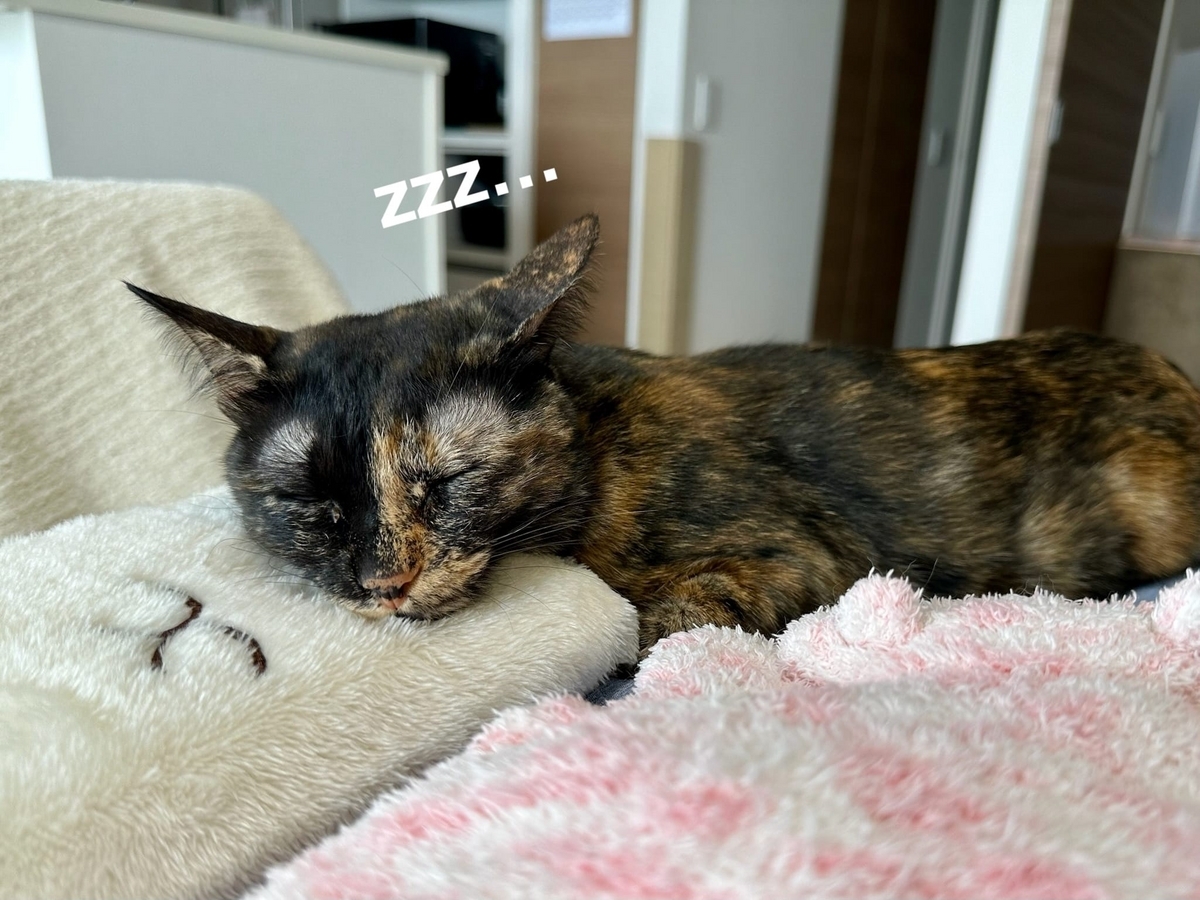 おねむのもなちゃん