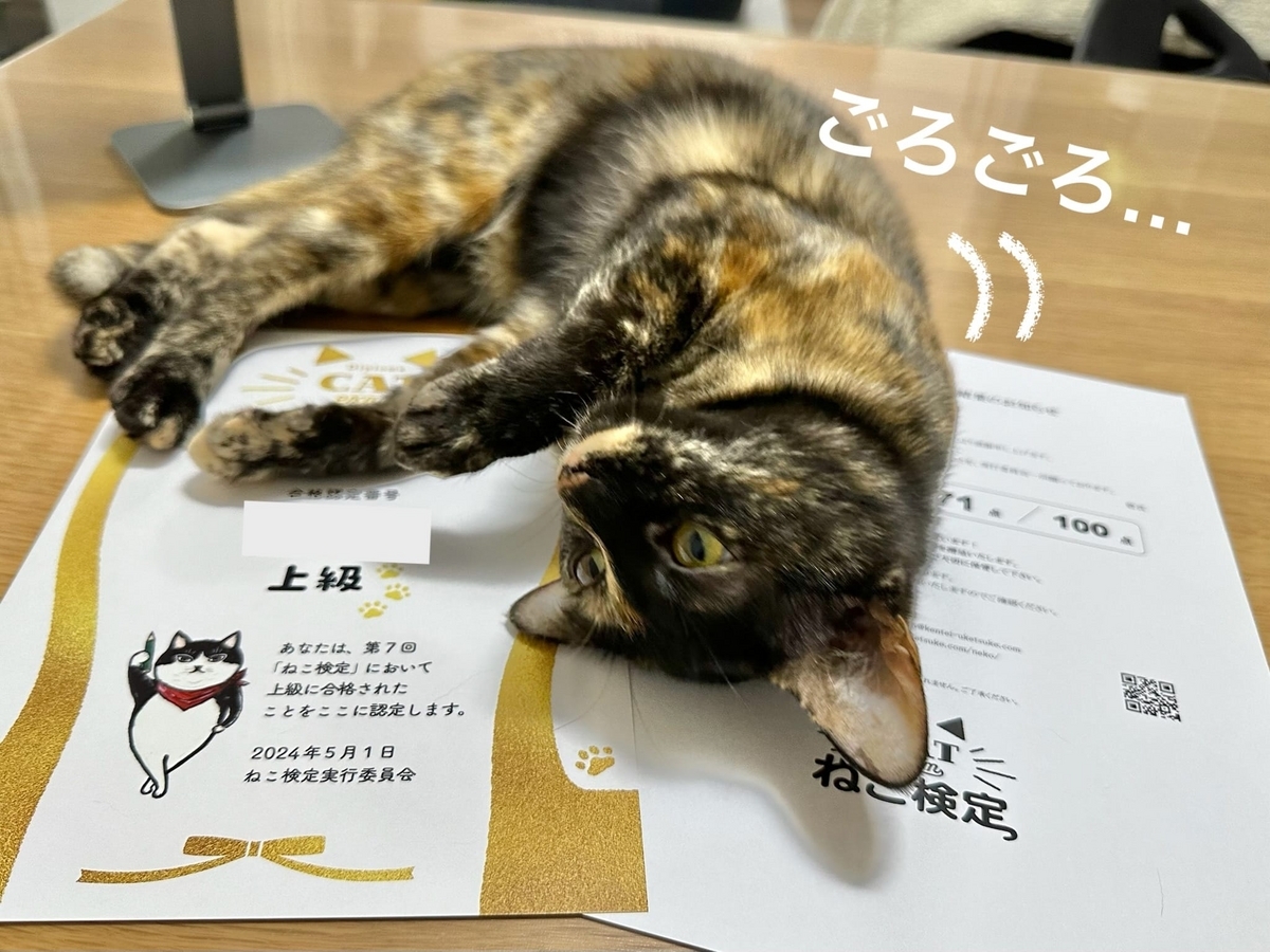 書類の上でごろごろするもなちゃん2