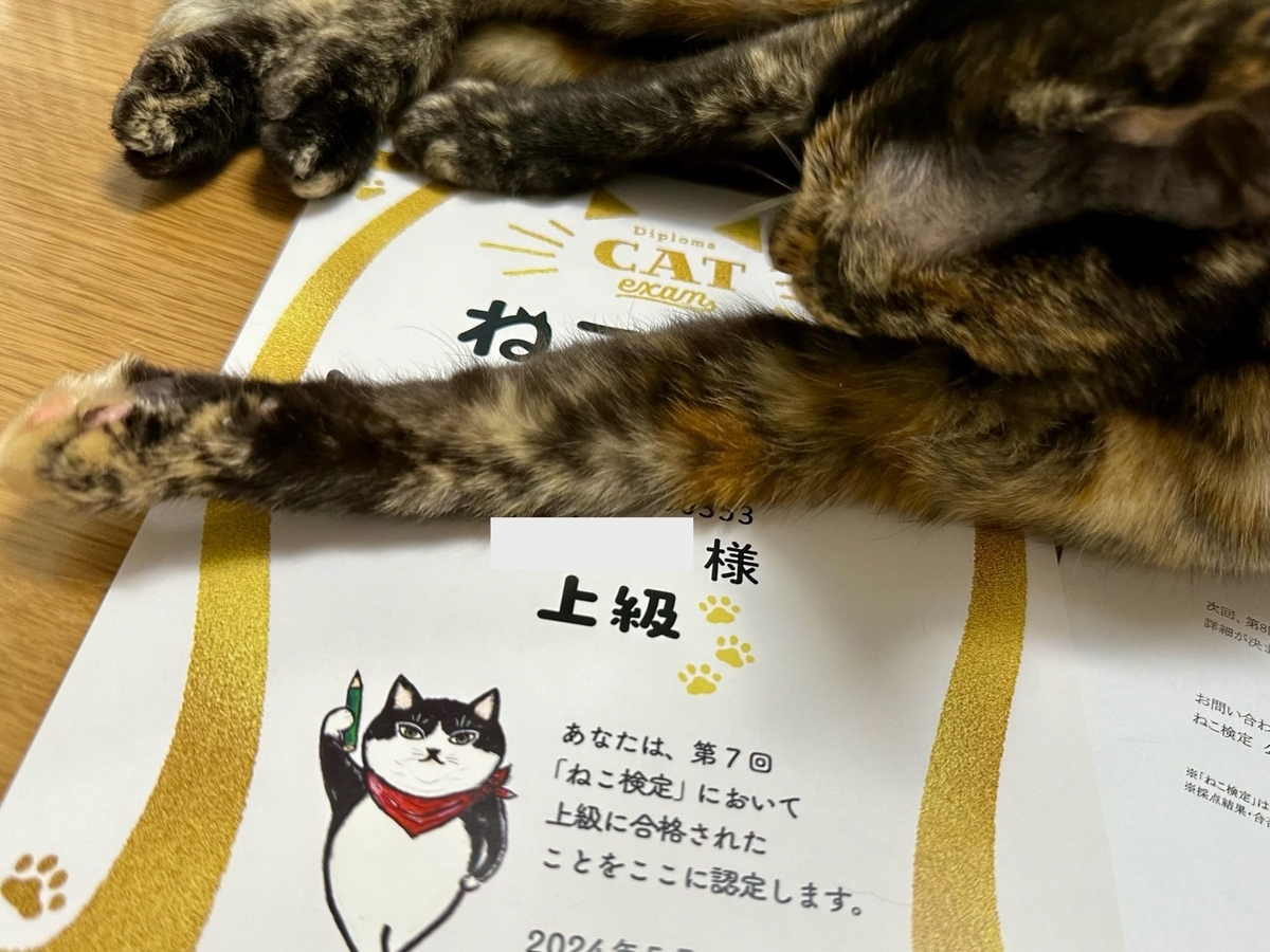 ねこ検定の結果1