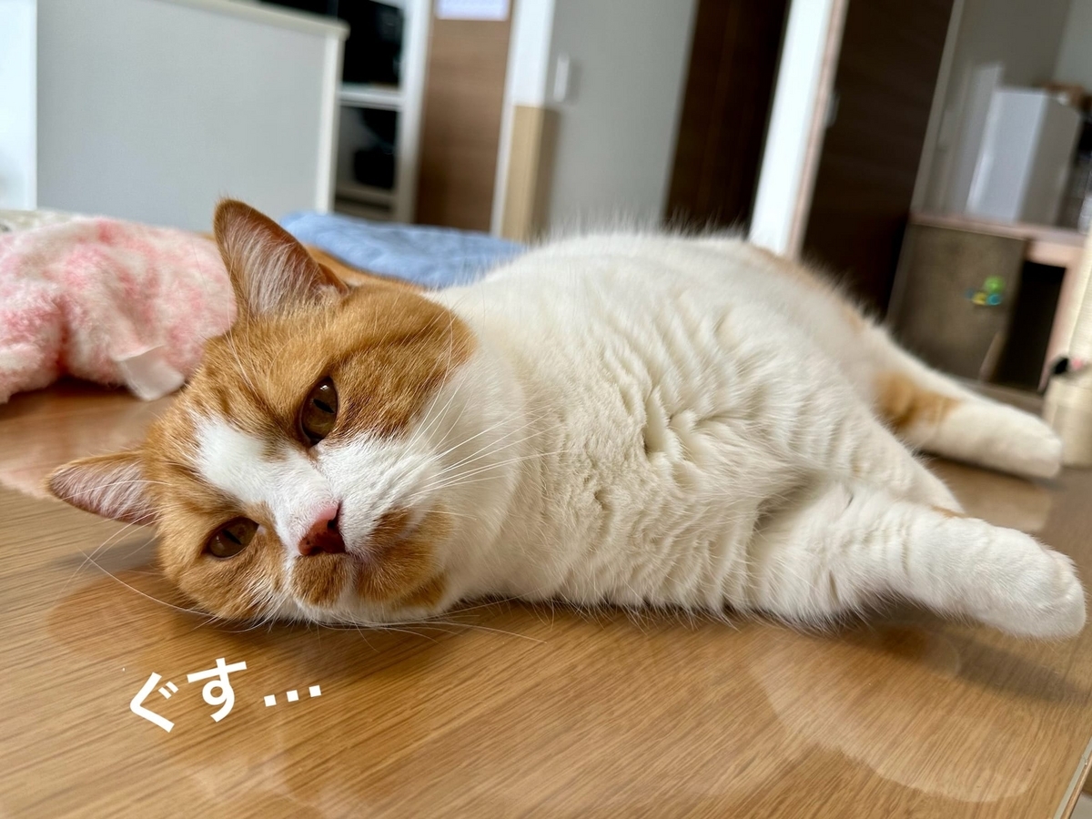 風邪気味るるちゃん