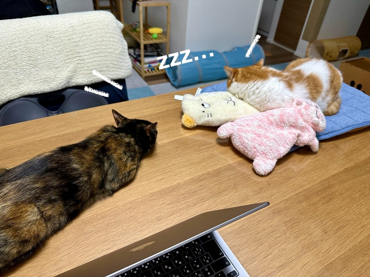 テーブルでごろごろするるるもな