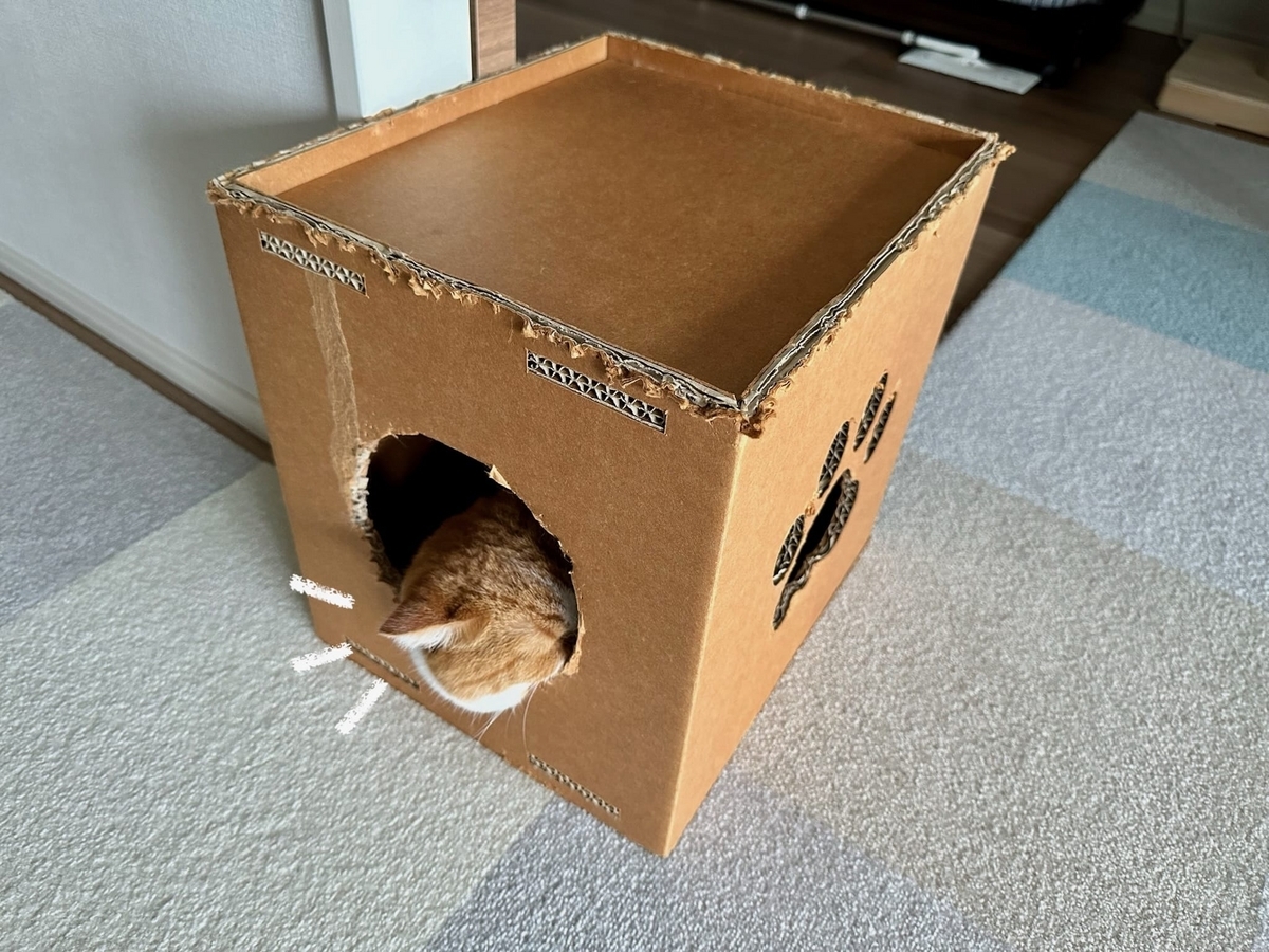 箱入り息子るるちゃん2