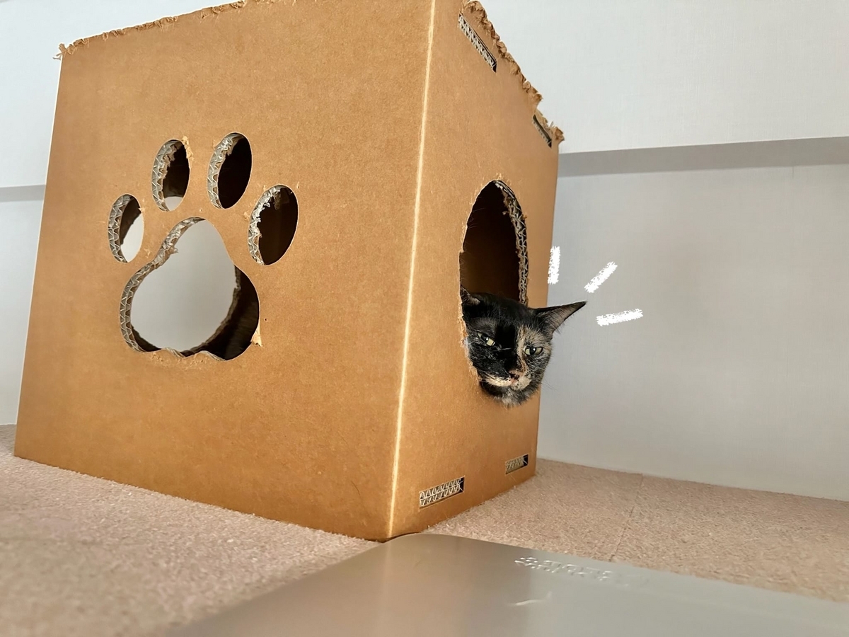 箱入り娘もなちゃん1