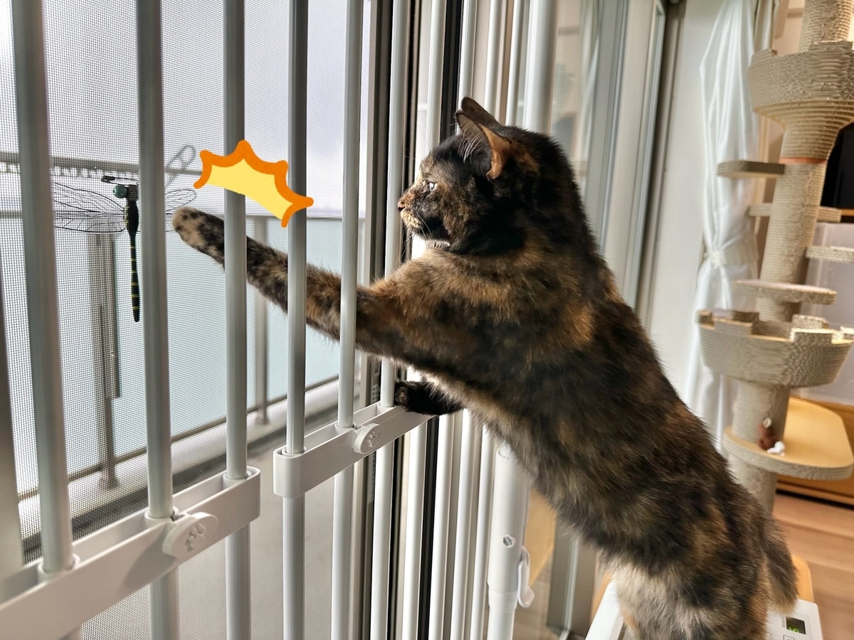 おにやんま君が気になるもなちゃん2