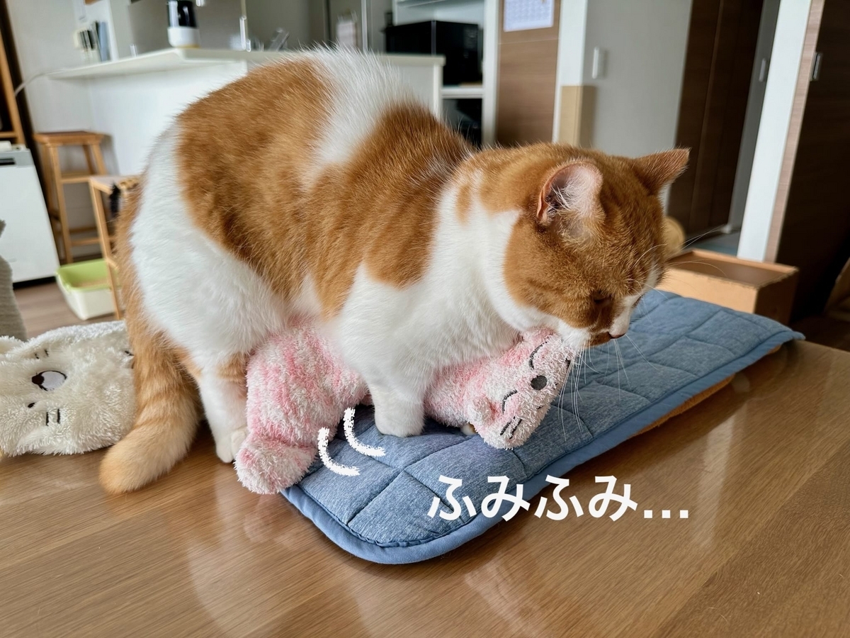 ふみふみするるるちゃん