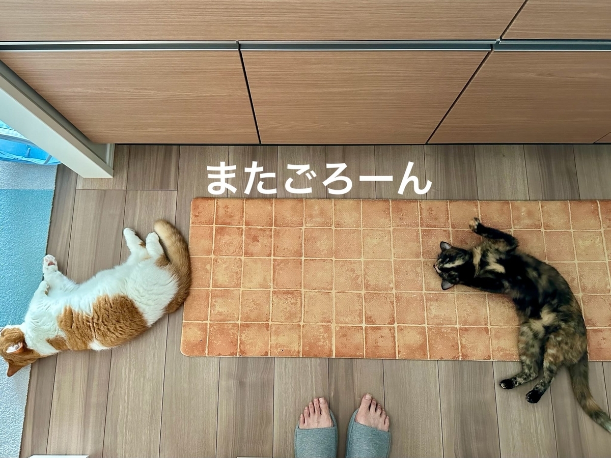 床でごろごろするるるもな3