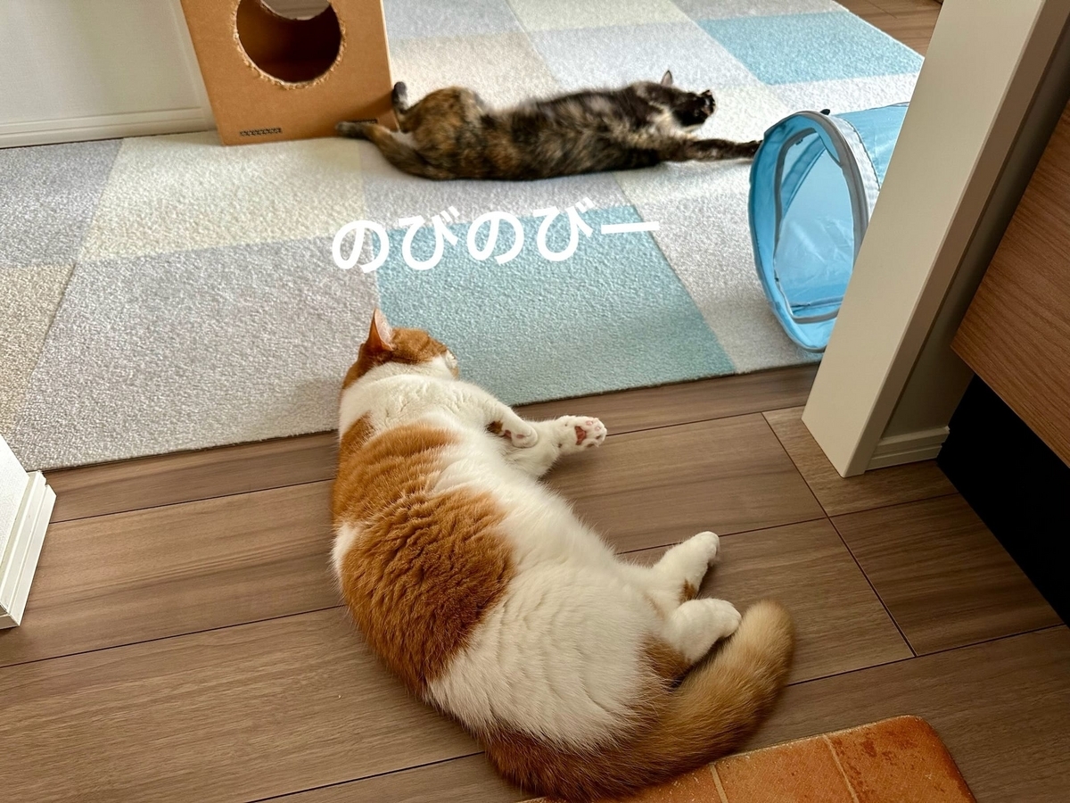 床でごろごろするるるもな1