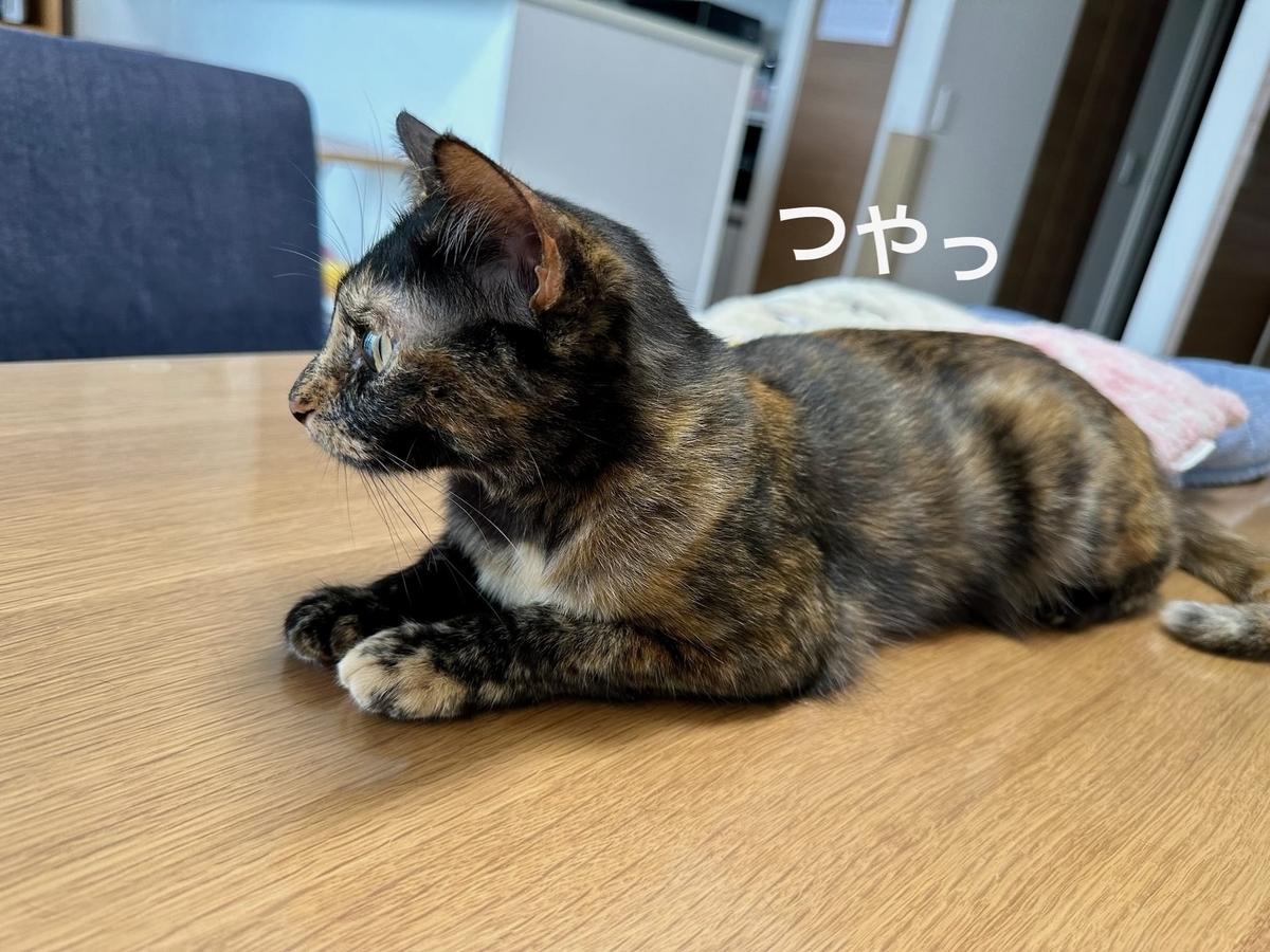 横顔美人のもなちゃん