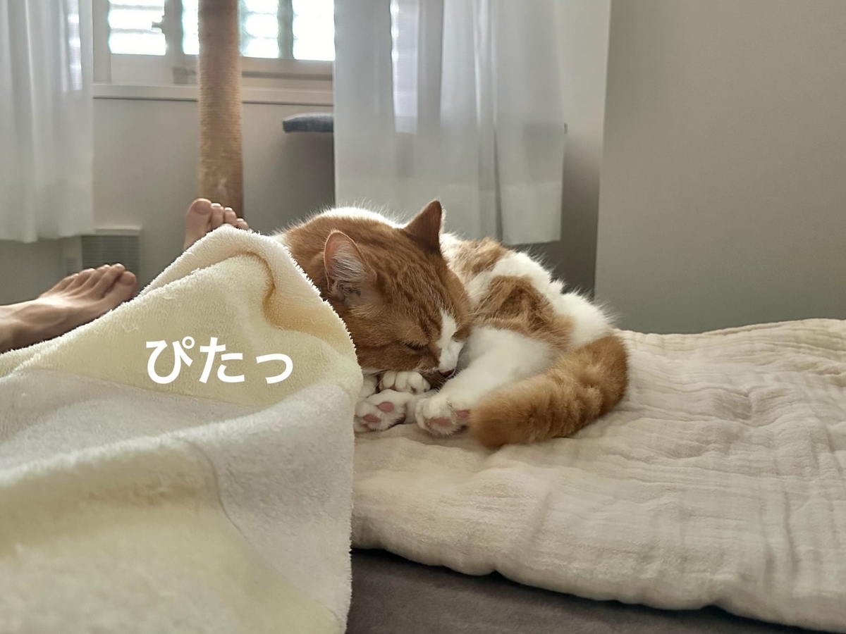 添い寝してくれるるるちゃん