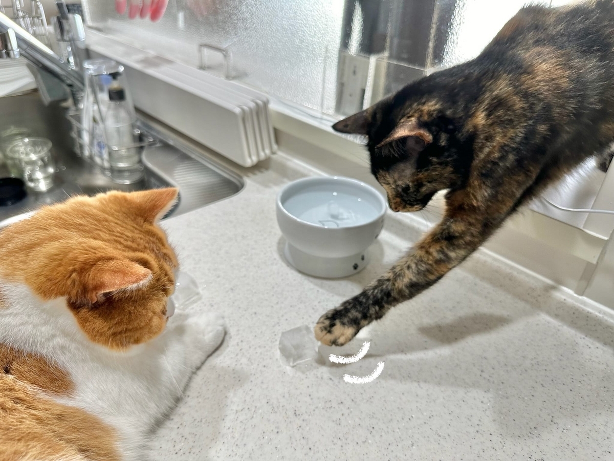 氷とるるもな3