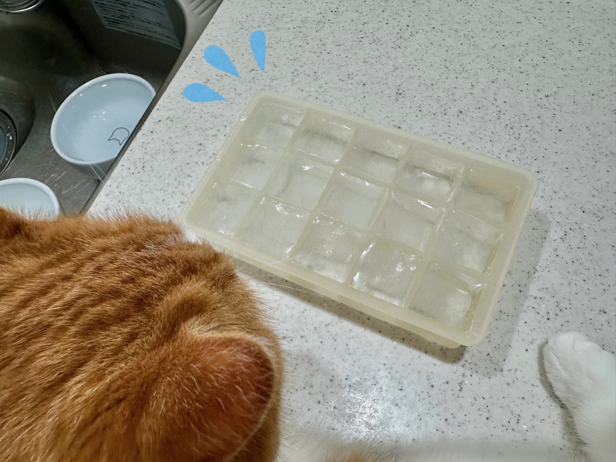 氷とるるもな1