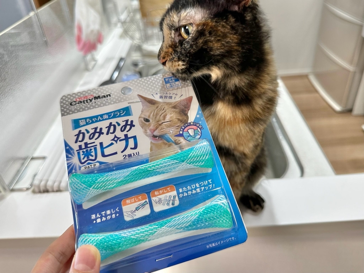 歯磨きおもちゃともなちゃん1