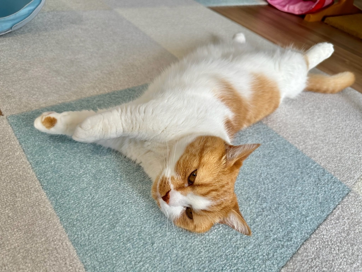 だらだらるるちゃん2