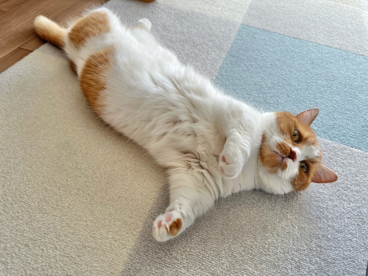 うらめしやポーズのるるちゃん