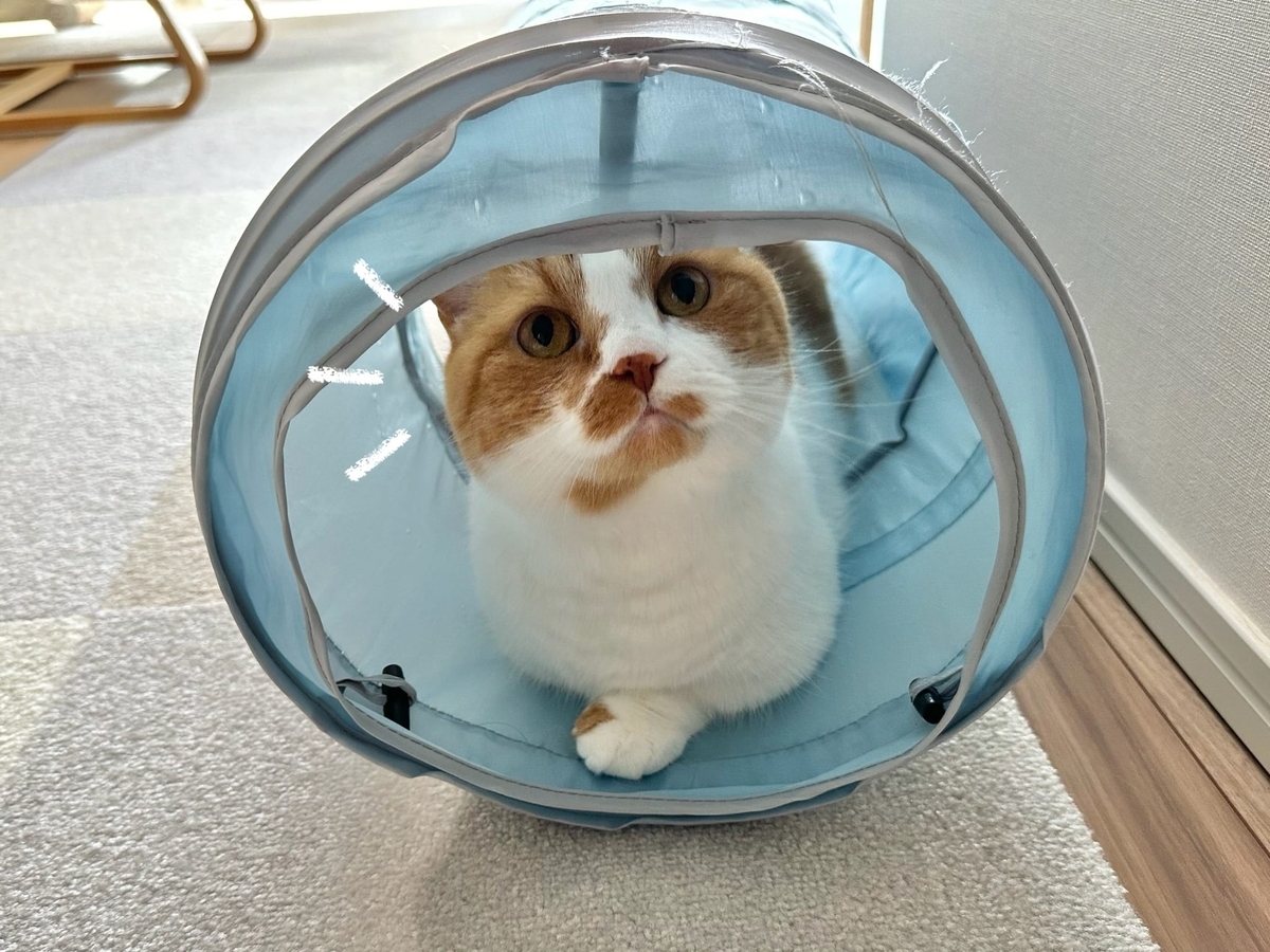 トンネルの中のるるちゃん2