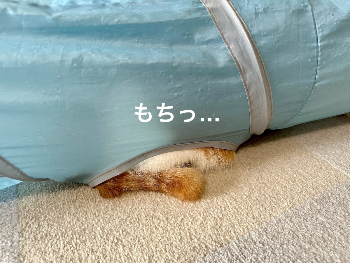 トンネルの中のるるちゃん1