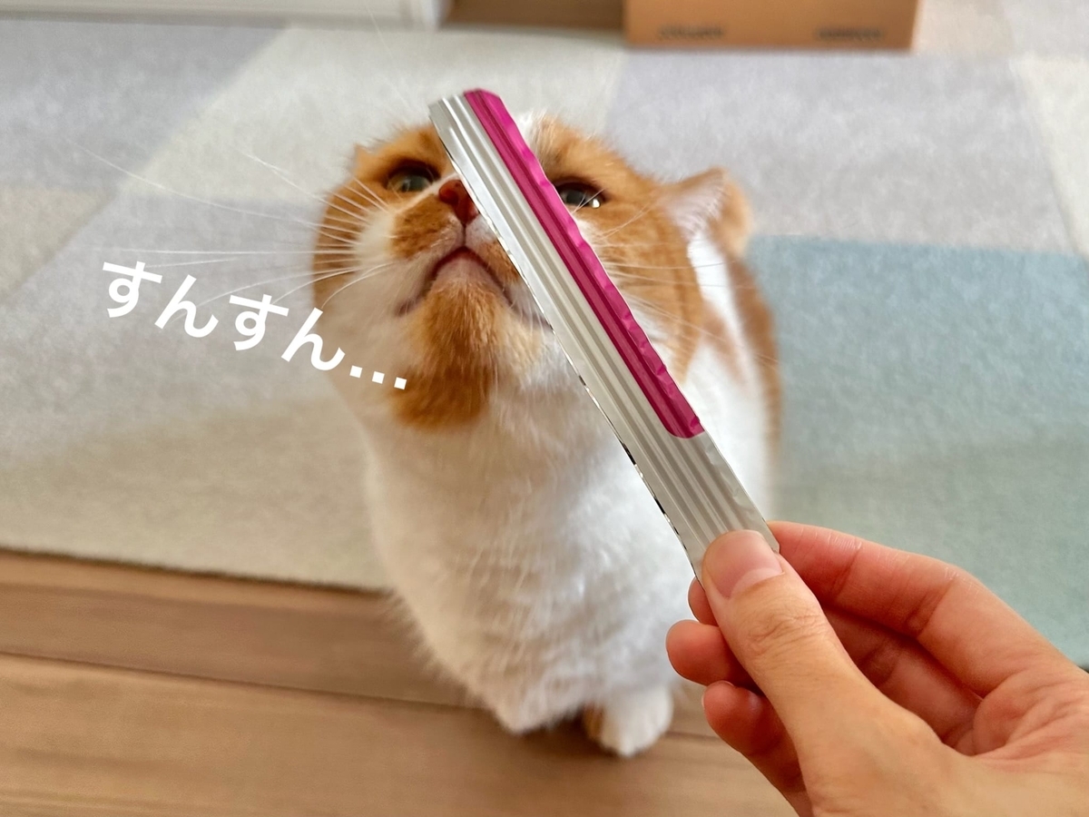 袋の切れ端で遊ぶるるちゃん1