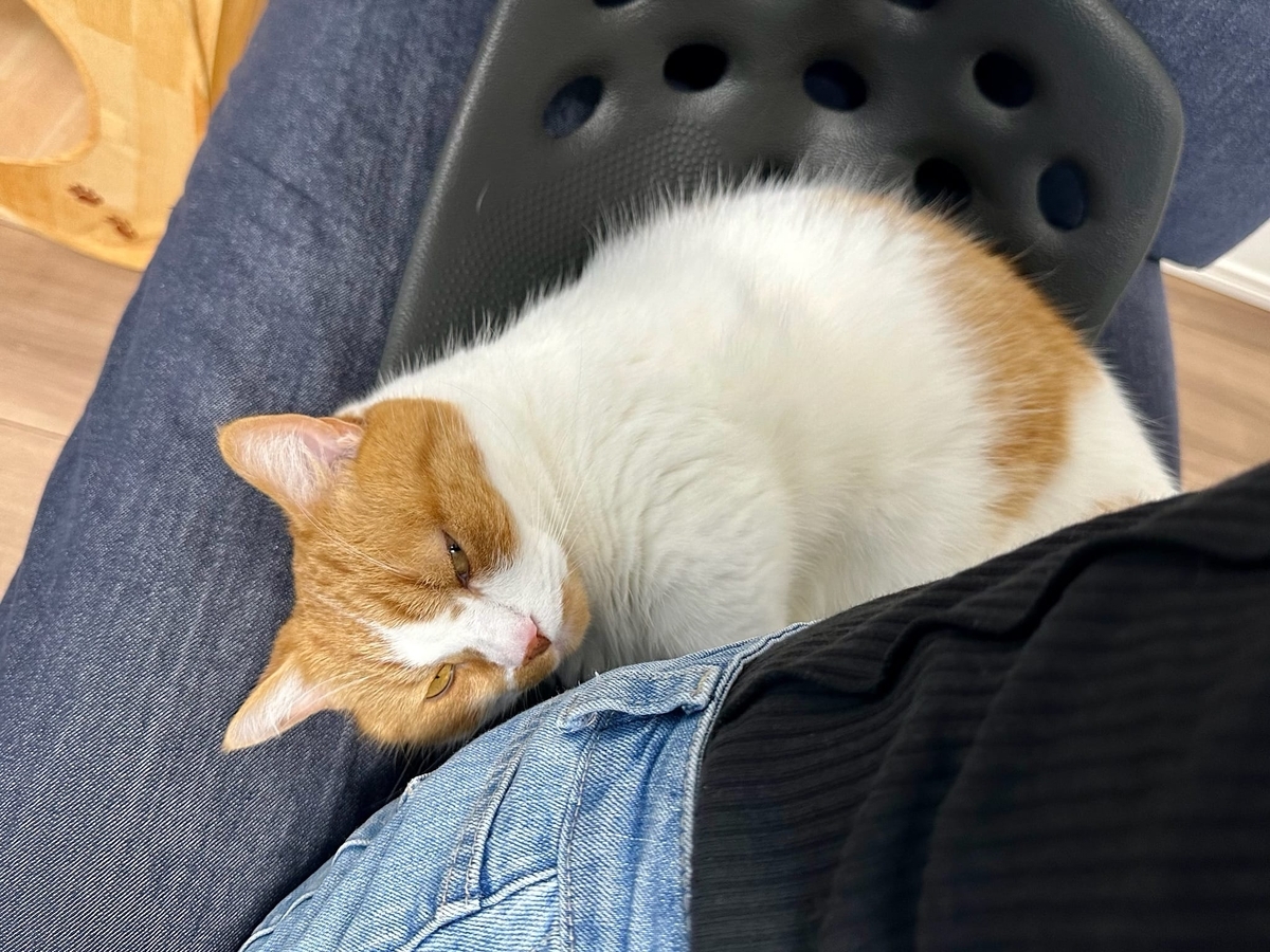 相席中のるるちゃん2