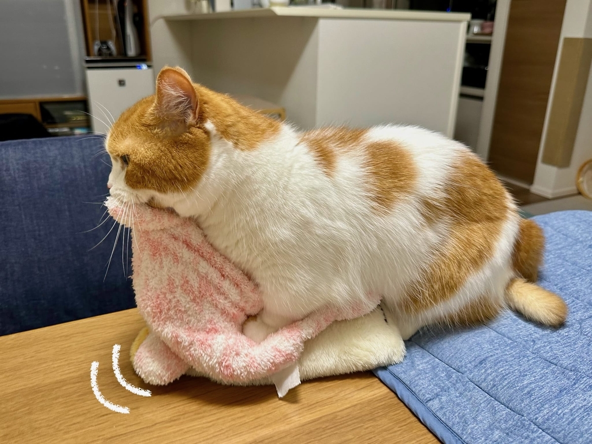 ふみふみるるちゃん3