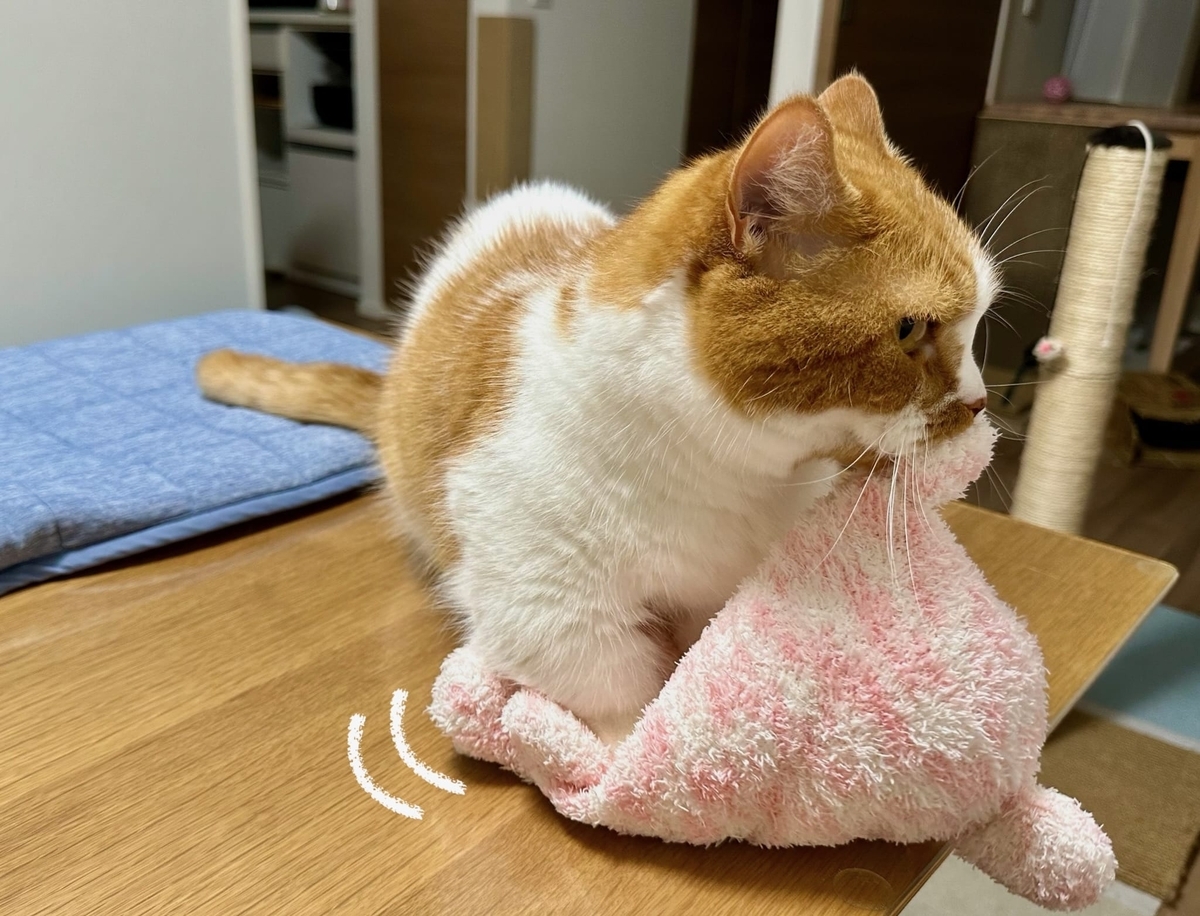 ふみふみるるちゃん2