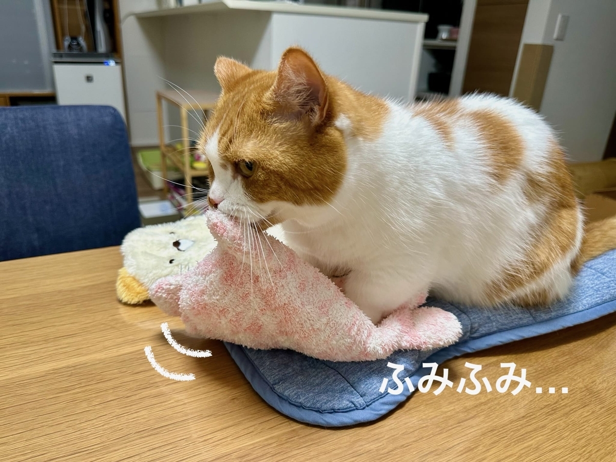ふみふみるるちゃん1