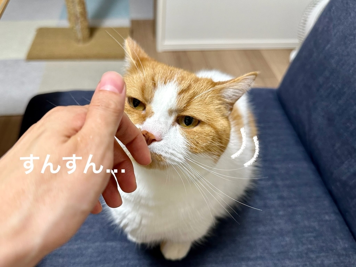 嗅ぐるるちゃん