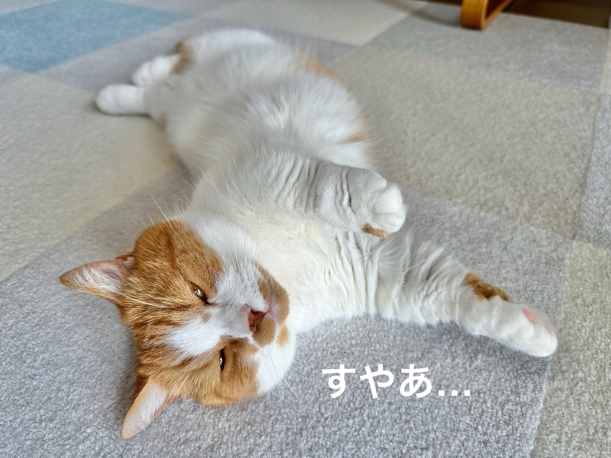 喉を鳴らするるちゃん2