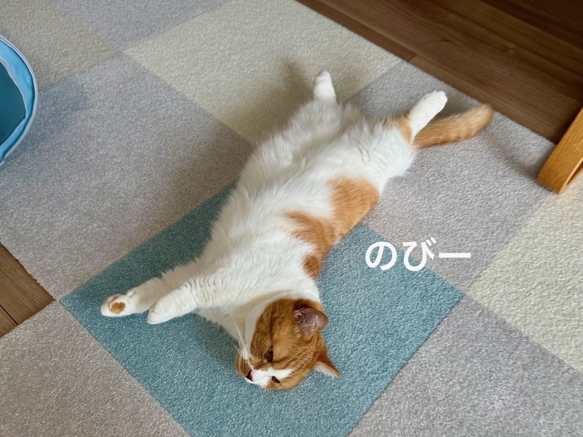 床にころがるるるちゃん