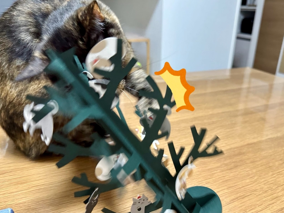 クリスマスカードが気になるもなちゃん3